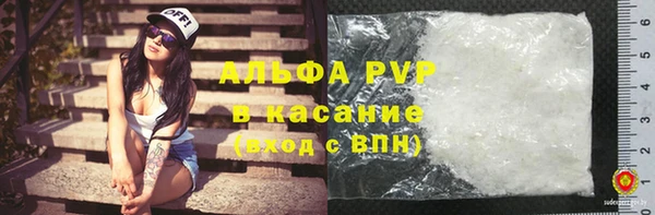 шишки Беломорск
