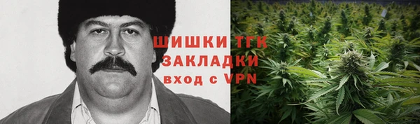 индика Белоозёрский