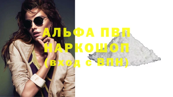 индика Белоозёрский