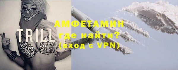 шишки Беломорск