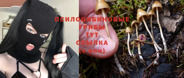 индика Белоозёрский