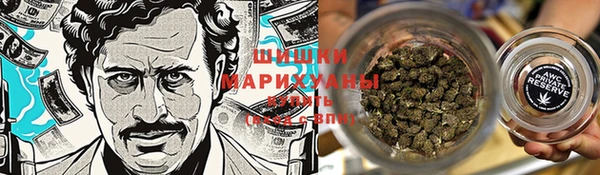 шишки Беломорск