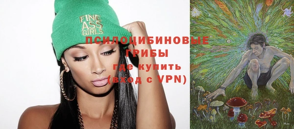 шишки Беломорск