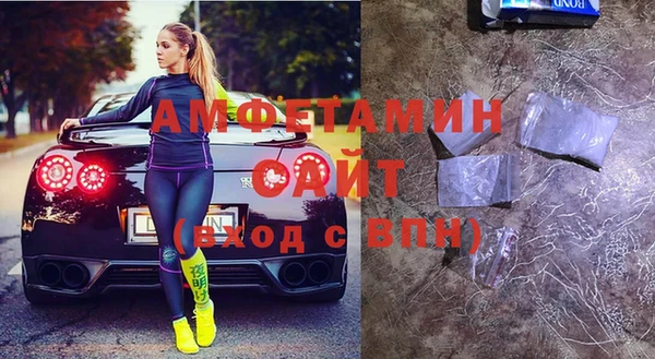 шишки Беломорск
