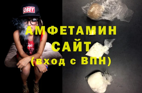 шишки Беломорск