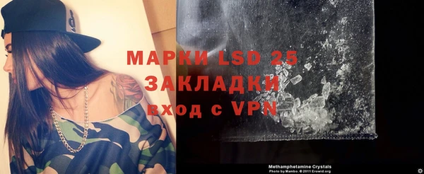 шишки Беломорск