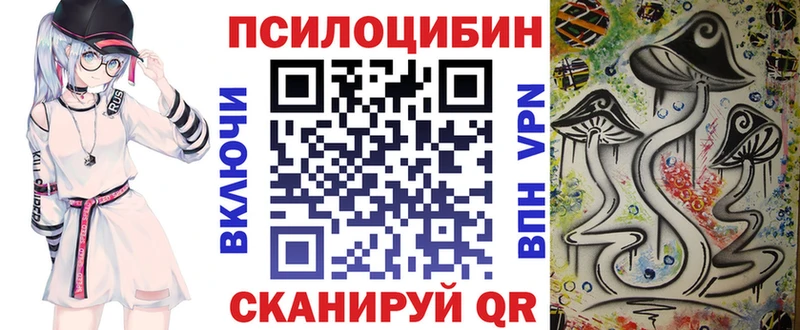 купить наркотики цена  OMG вход  Галлюциногенные грибы Psilocybine cubensis  Беломорск 